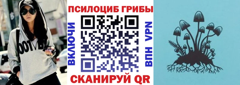 продажа наркотиков  Тетюши  Псилоцибиновые грибы мицелий 