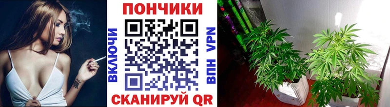 Канабис семена Тетюши
